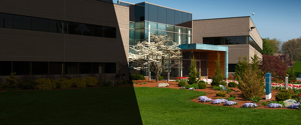 Leighton Landscapers