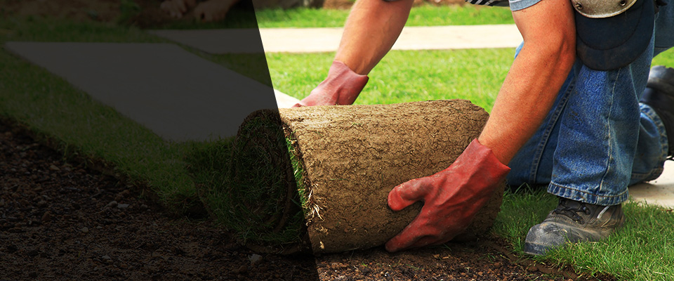 Leighton Landscapers